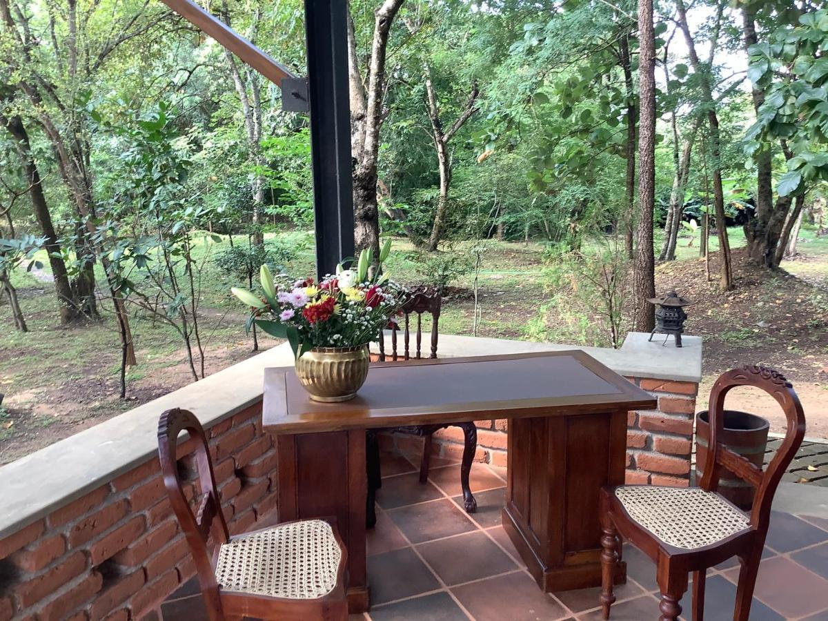 Mind Body And Soul Dambulla Exterior foto