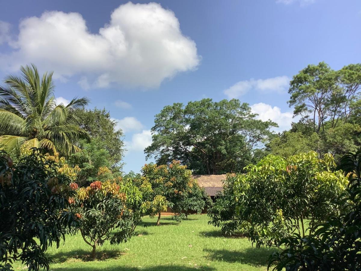 Mind Body And Soul Dambulla Exterior foto