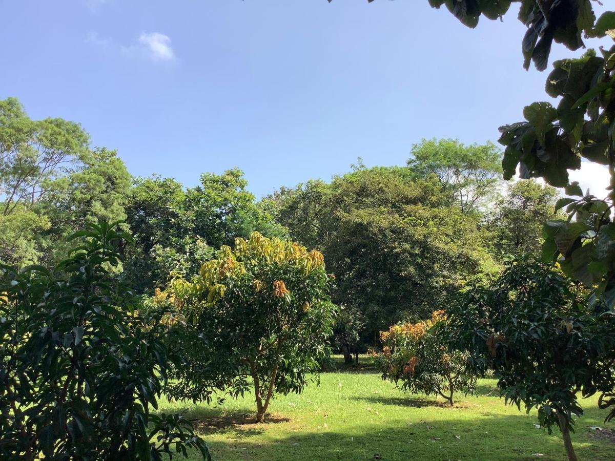 Mind Body And Soul Dambulla Exterior foto