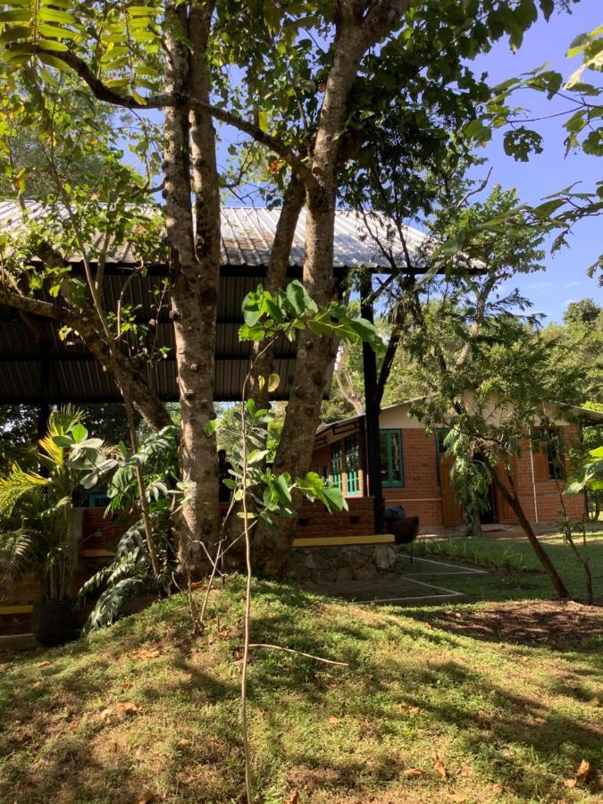 Mind Body And Soul Dambulla Exterior foto