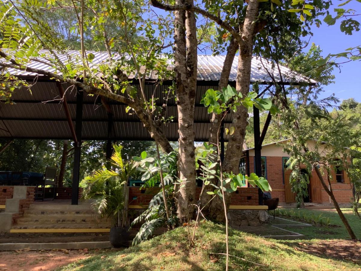 Mind Body And Soul Dambulla Exterior foto