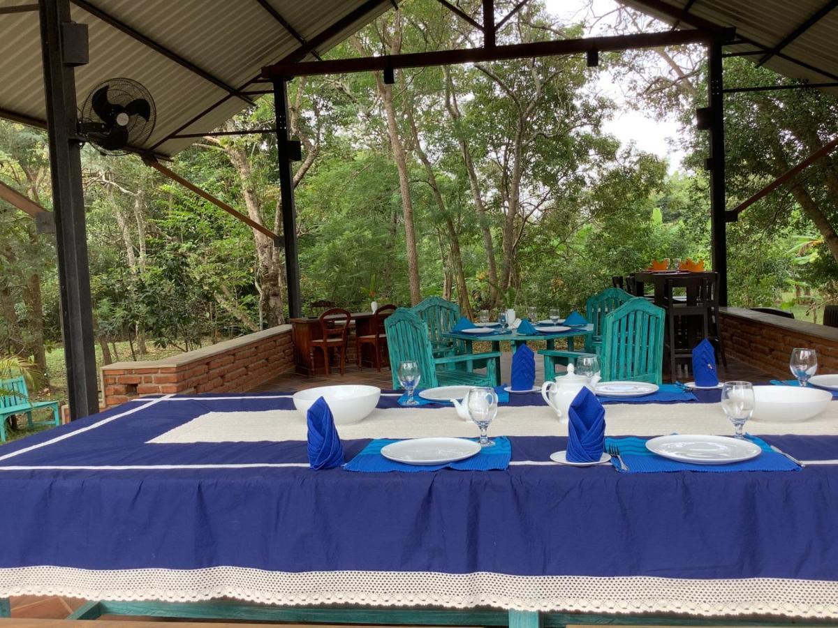 Mind Body And Soul Dambulla Exterior foto