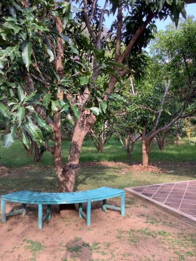 Mind Body And Soul Dambulla Exterior foto